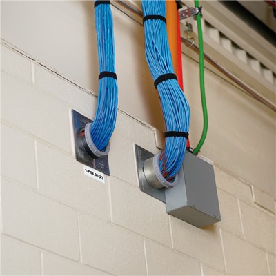 Panel Labels Panel Labels
