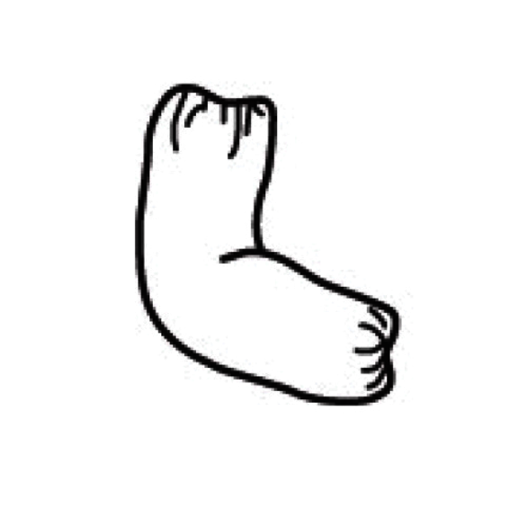 Image for PIP 2416PE